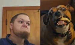 That Derpy Dawg Meme Template