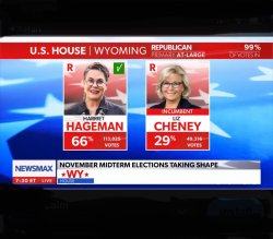 Liz Cheney Meme Template