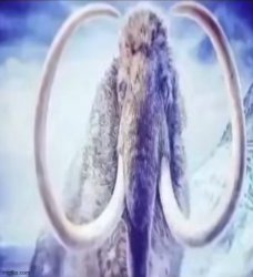 Mammoth Meme Template