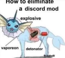 That’s right! Meme Template