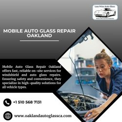 Mobile Auto Glass Repair Oakland Meme Template