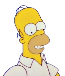 Homer Simpson Meme Template