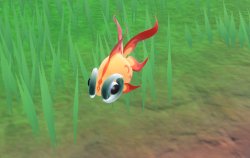 Curious chi-yu Meme Template