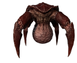 Gornach matured headcrab Meme Template