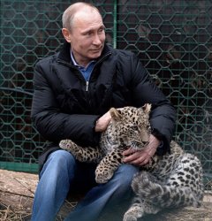 Putin & leopard Meme Template