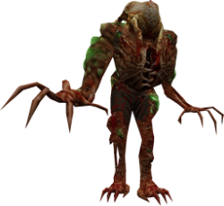 Final zombie headcrab stage Meme Template