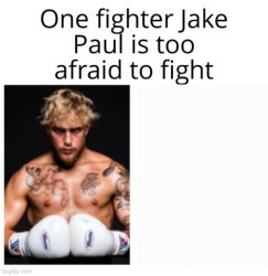 One fighter Jake Paul is too afraid to fight Meme Template