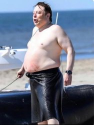 Elon Musk Swimsuit Meme Template