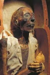 king ramses Meme Template