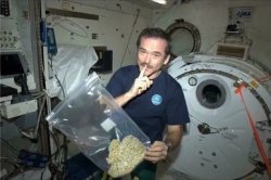 Chris Hadfield holding a bag of weed Meme Template