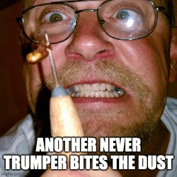 Another never Trumper bites the dust Meme Template