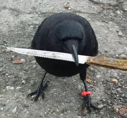 Danger Crow Meme Template