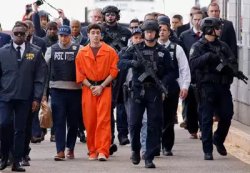 Luigi Mangione Meme Template