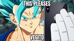 This pleases Vegito Meme Template