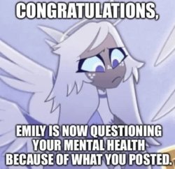 Why Meme Template