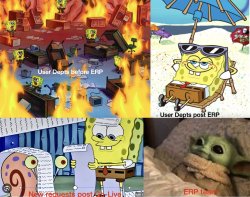 ERP life Meme Template