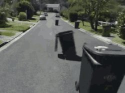 Dancing trash cans Meme Template