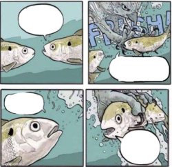 Fish prayed by hawk Meme Template