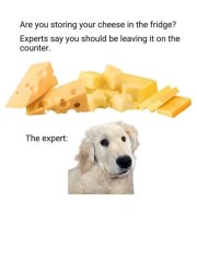 Cheese Meme Template