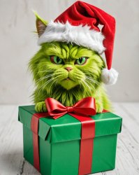 Cat grinch face Meme Template