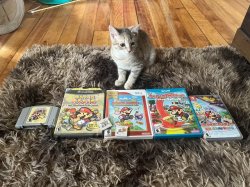 gamer cat Meme Template