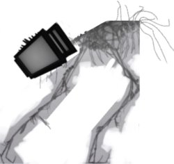 Bactv (phase 4) Meme Template