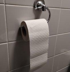 correct toilet roll Meme Template