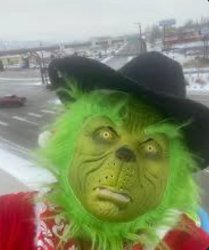 Grinch selfie Meme Template