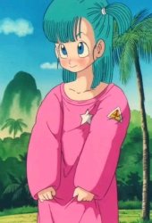 cute bulma Meme Template
