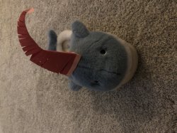 Christmas Porpoise Slipper Meme Template