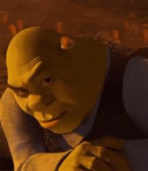 Shrek Meme Template