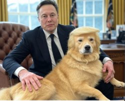 Trump is Elon Musk's lapdog Meme Template