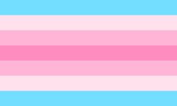 Transfemme Flag Meme Template
