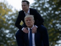 Elon Musk riding on Donald Trump's shoulders Meme Template