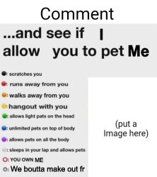 Comment and see if I allow you to pet me Meme Template