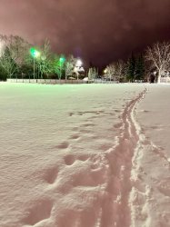 Outdoor Rink Snow Meme Template