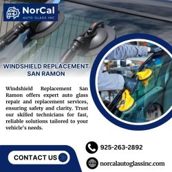 Windshield Replacement San Ramon Meme Template