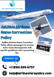 JetBlue Airlines Name Correction Policy Meme Template