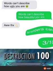 DESTRUCTION 100 Meme Template