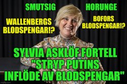 Sylvia Asklöf Fortell Stryp Putins inflöde av blodspengar Meme Template