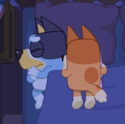 Bluey Sleepytime Meme Template