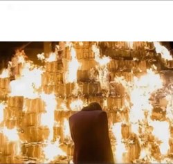 money burn Meme Template