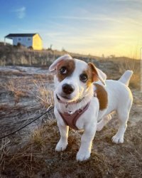 Jrt side eye Meme Template