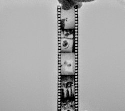 Film Strip. Meme Template