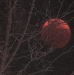 Blood Moon. Meme Template