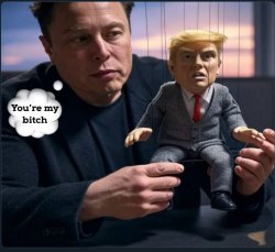 Donald Trump is Elon Musk's little bitch Meme Template