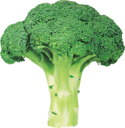 Broccoli Meme Template