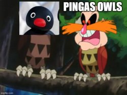 pingas owls Meme Template