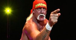 Hulk Hogan Pointing Meme Template