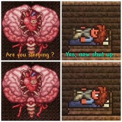 Are you sleeping? (Terraria Edition) Meme Template